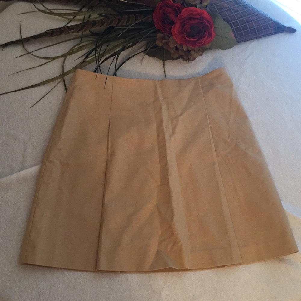 NWOT Lauren Ralph Lauren Skirt
